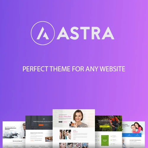Astra Pro Theme